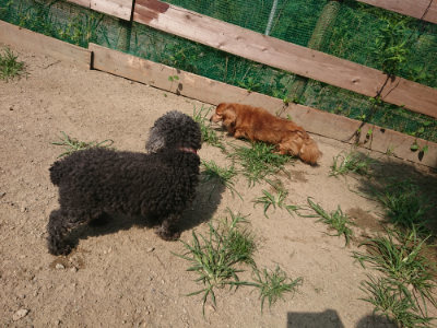 f:id:roukenhome-ann:20190804205617j:plain