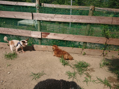 f:id:roukenhome-ann:20190804205630j:plain