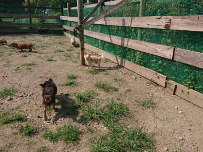 f:id:roukenhome-ann:20190804205637j:plain