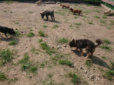 f:id:roukenhome-ann:20190804205646j:plain