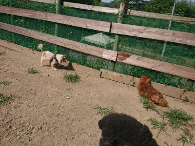 f:id:roukenhome-ann:20190804205702j:plain