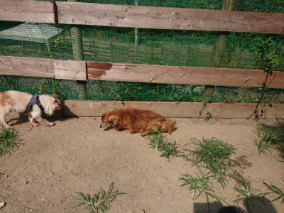f:id:roukenhome-ann:20190804205708j:plain