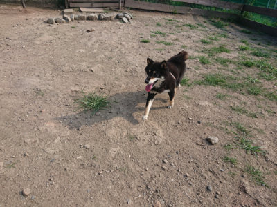 f:id:roukenhome-ann:20190805183947j:plain