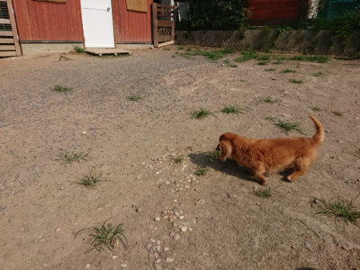 f:id:roukenhome-ann:20190805184007j:plain