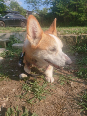 f:id:roukenhome-ann:20190805184013j:plain