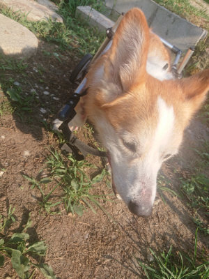 f:id:roukenhome-ann:20190805184020j:plain
