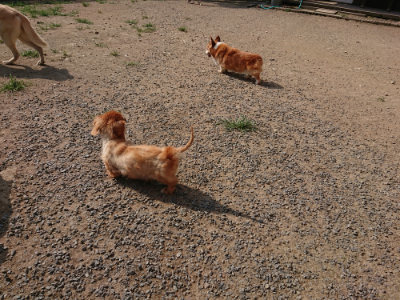 f:id:roukenhome-ann:20190805184026j:plain