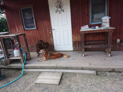 f:id:roukenhome-ann:20190805184045j:plain