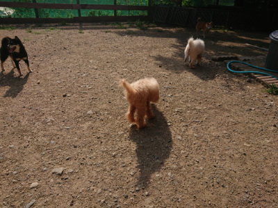 f:id:roukenhome-ann:20190805184054j:plain