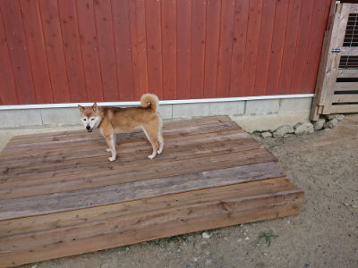 f:id:roukenhome-ann:20190805184102j:plain