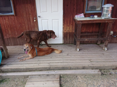 f:id:roukenhome-ann:20190805184107j:plain