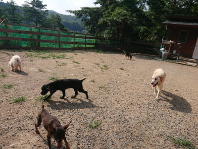 f:id:roukenhome-ann:20190805184118j:plain