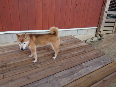 f:id:roukenhome-ann:20190805184132j:plain