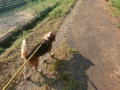f:id:roukenhome-ann:20190805184204j:plain