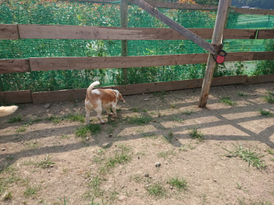 f:id:roukenhome-ann:20190805184345j:plain