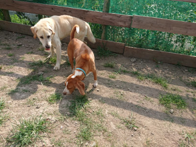 f:id:roukenhome-ann:20190805184400j:plain