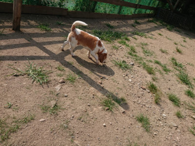 f:id:roukenhome-ann:20190805184416j:plain