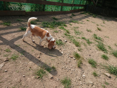 f:id:roukenhome-ann:20190805184421j:plain