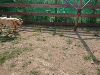 f:id:roukenhome-ann:20190805184442j:plain