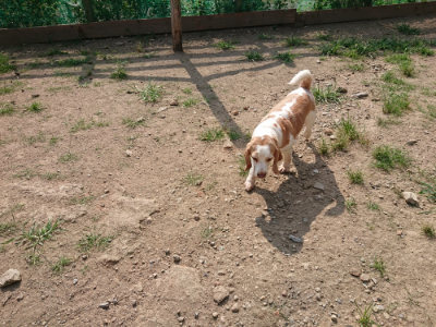 f:id:roukenhome-ann:20190805184447j:plain