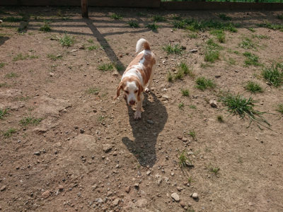 f:id:roukenhome-ann:20190805184454j:plain