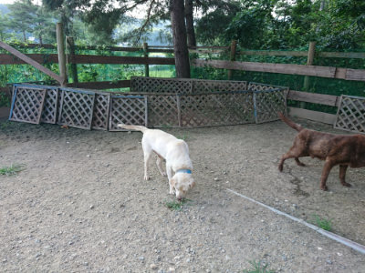 f:id:roukenhome-ann:20190805184522j:plain