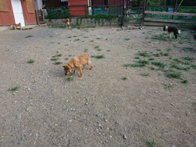 f:id:roukenhome-ann:20190805184541j:plain