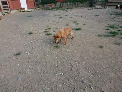 f:id:roukenhome-ann:20190805184551j:plain
