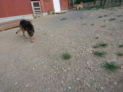 f:id:roukenhome-ann:20190805184600j:plain