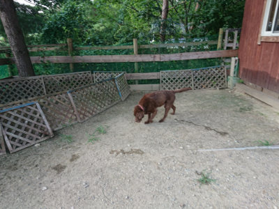 f:id:roukenhome-ann:20190805184606j:plain