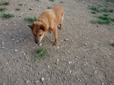 f:id:roukenhome-ann:20190805184620j:plain