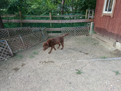 f:id:roukenhome-ann:20190805184640j:plain