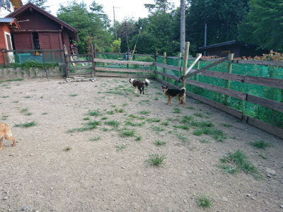f:id:roukenhome-ann:20190805184645j:plain