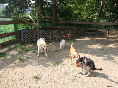 f:id:roukenhome-ann:20190805184651j:plain