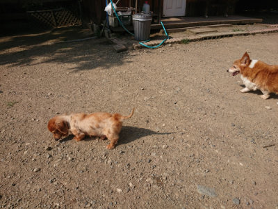 f:id:roukenhome-ann:20190805184712j:plain