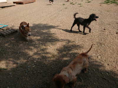 f:id:roukenhome-ann:20190805184754j:plain