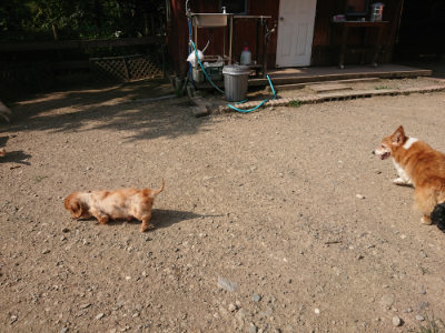 f:id:roukenhome-ann:20190805184823j:plain