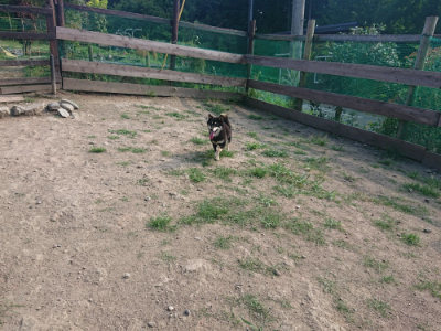 f:id:roukenhome-ann:20190805184828j:plain