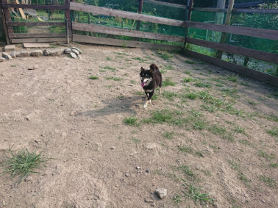 f:id:roukenhome-ann:20190805184834j:plain