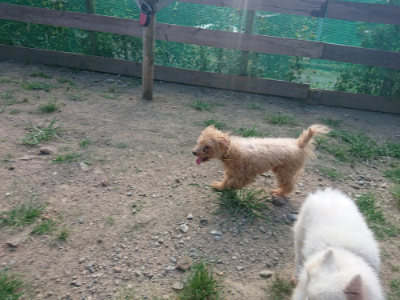 f:id:roukenhome-ann:20190805184852j:plain