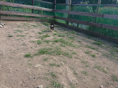 f:id:roukenhome-ann:20190805184857j:plain