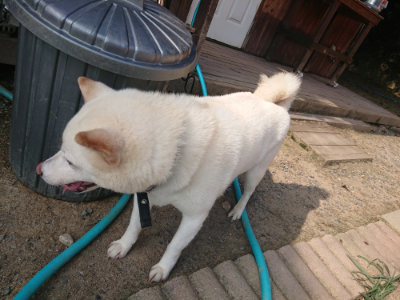 f:id:roukenhome-ann:20190805184904j:plain