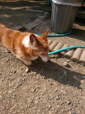 f:id:roukenhome-ann:20190805184911j:plain