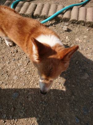 f:id:roukenhome-ann:20190805184916j:plain