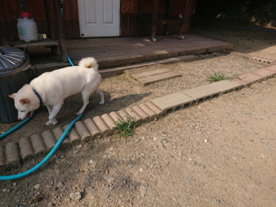 f:id:roukenhome-ann:20190805184931j:plain