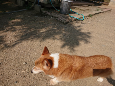 f:id:roukenhome-ann:20190805184938j:plain