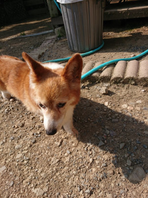 f:id:roukenhome-ann:20190805184944j:plain
