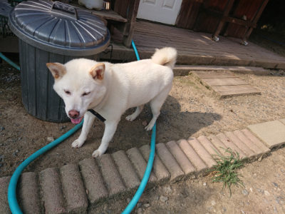 f:id:roukenhome-ann:20190805184957j:plain