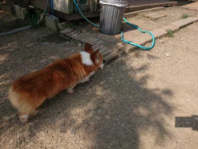 f:id:roukenhome-ann:20190805185003j:plain