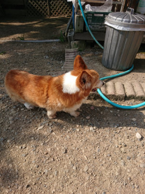 f:id:roukenhome-ann:20190805185019j:plain